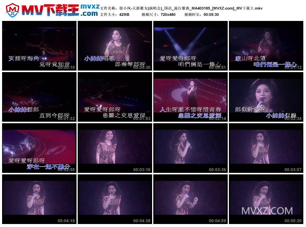 徐小凤-天涯歌女(演唱会)_国语_流行歌曲_MA403185